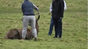 775b2115c68c47d493dff2cbbaa84f0616x91200x676 | Aleumumnews Aleumumnews