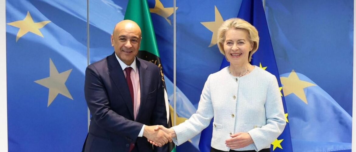 Two officials shake hands in front of European Union flags in a formal setting.