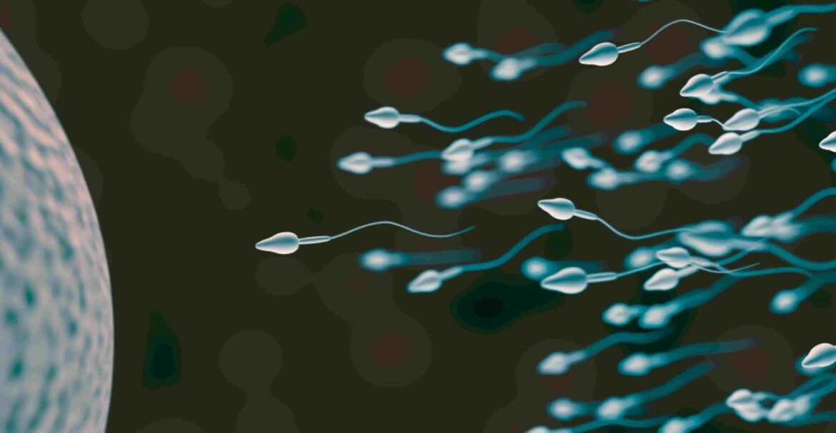 Sperm cells swimming toward an egg cell on the left in a dark background, depicting fertilization.