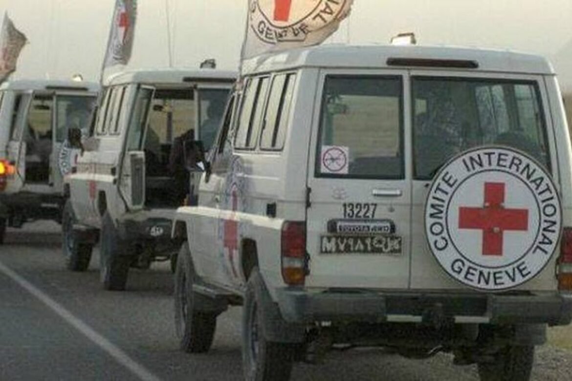 Line of white ambulances with red cross logos and flags driving on a road