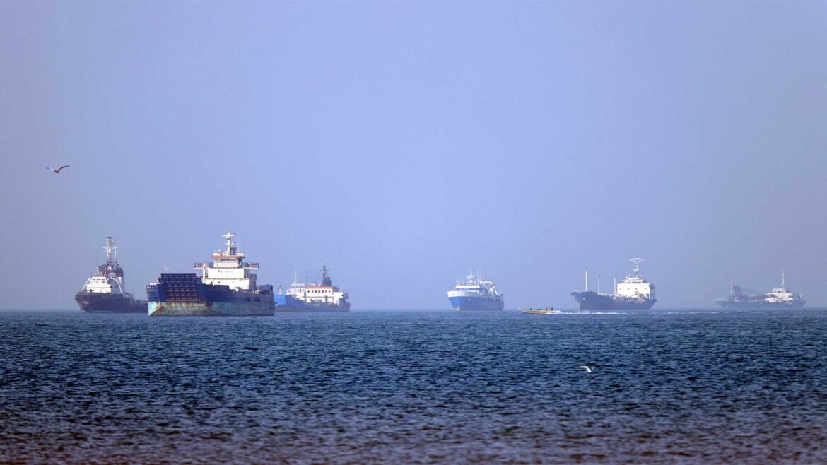 Several cargo ships anchored offshore on a calm blue sea with a distant seagull flying above the water.
