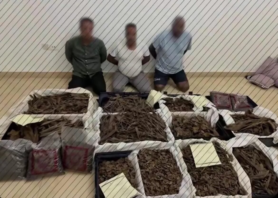 Three men kneel behind open boxes filled with dried leaves laid out on the floor, each box labeled with sticky notes.
