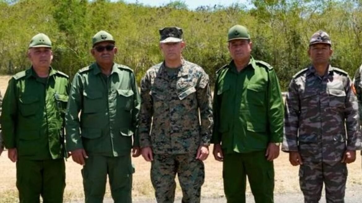 Five soldiers in green and camouflage uniforms stand in a line outdoors on a sunny day.