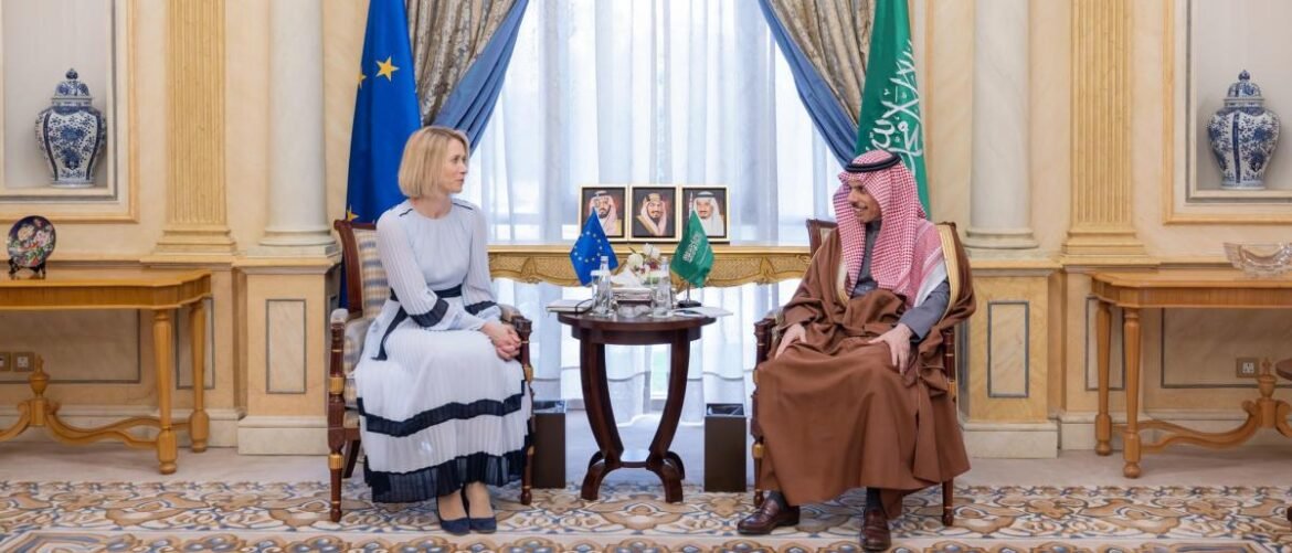 Two dignitaries—European woman and Saudi official—sit facing each other in a grand, decorated room with EU and Saudi flags between them.