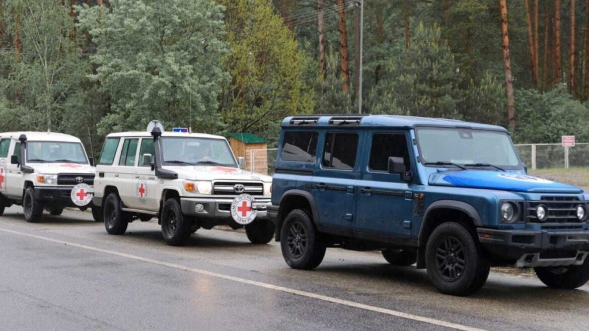 Blue off-road SUV in front of two white Red Cross ambulances on a wet forest road.