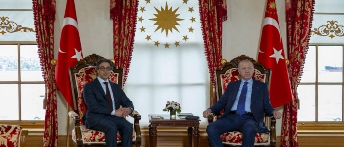 Two men in suits sit in ornate red chairs in a formal room, with Turkish flags and a sun emblem behind them and a small table between them with flowers and documents.