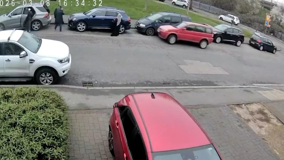 Street scene with multiple parked cars along a curb and two people near a gray hatchback, captured by a street camera.