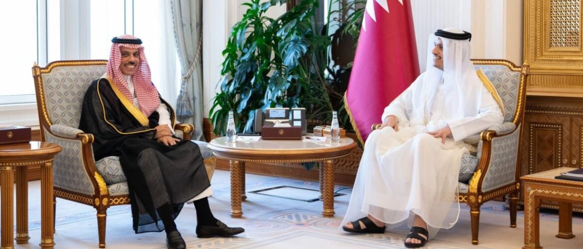 Two men in traditional Middle Eastern attire sit in ornate chairs for a formal diplomatic meeting, with a flag and plants behind them.