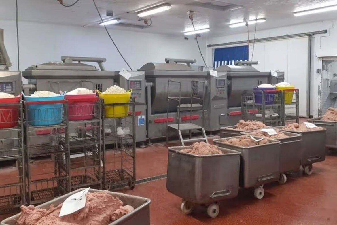Industrial meat-processing room with large stainless steel mixers and colorful bins of ground meat on racks along the wall.