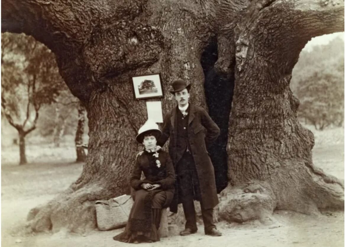 Victorian-era couple posing beside a massive gnarled tree; woman seated in a long dress and hat, man in a long coat and bowler hat.
