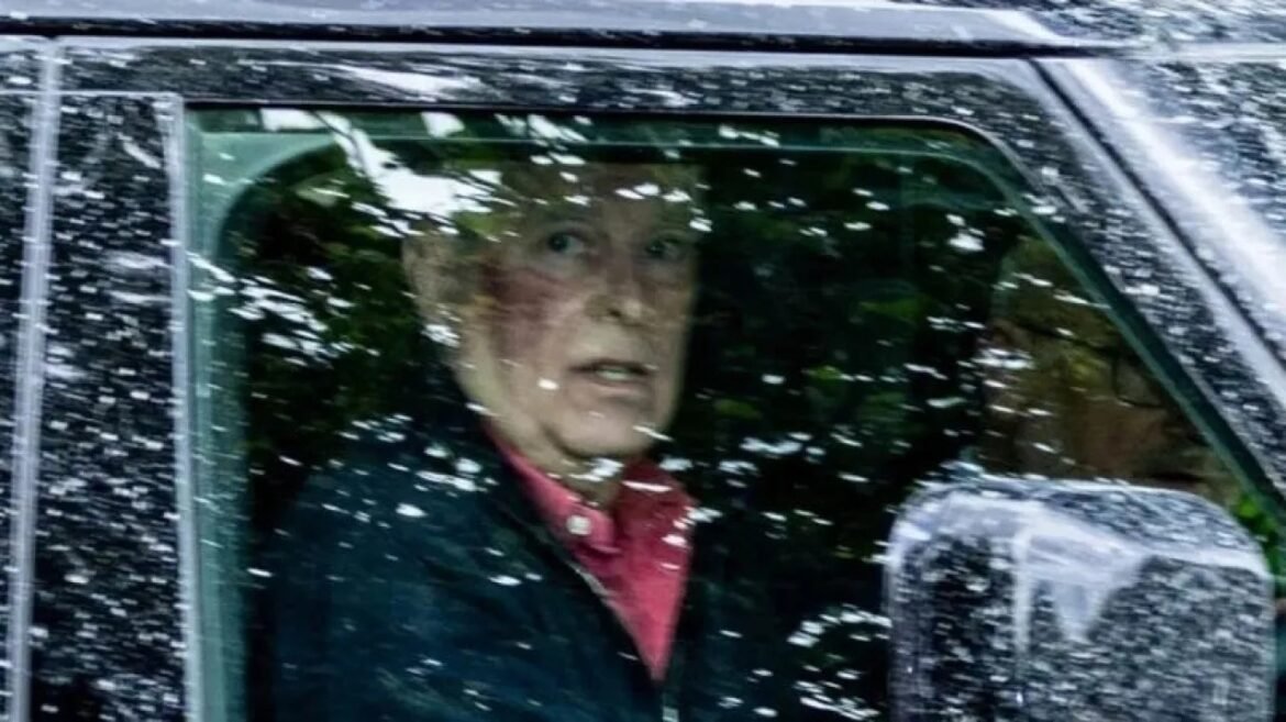 Person with light-colored hair wearing a red shirt sits inside a snow-speckled car, looking toward the camera, with trees reflected on the window.