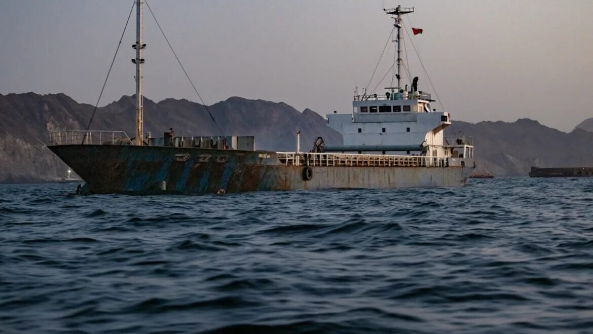 Rusty cargo ship on choppy blue water with a white superstructure, anchored near a rocky coastline and distant mountains in the background.