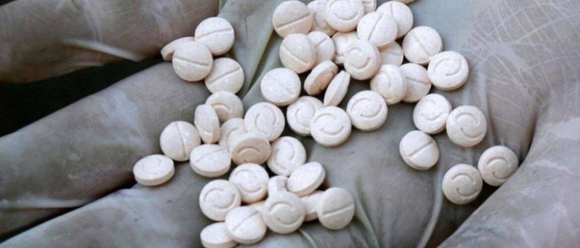 Gloved hand holding a pile of small white round tablets.