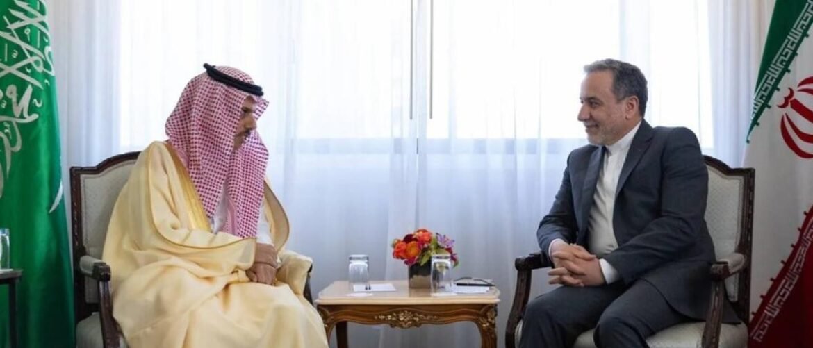 Two men in a formal meeting sit in armchairs across a small table, one wearing traditional Arab dress and the other in a suit, with flags in the background.