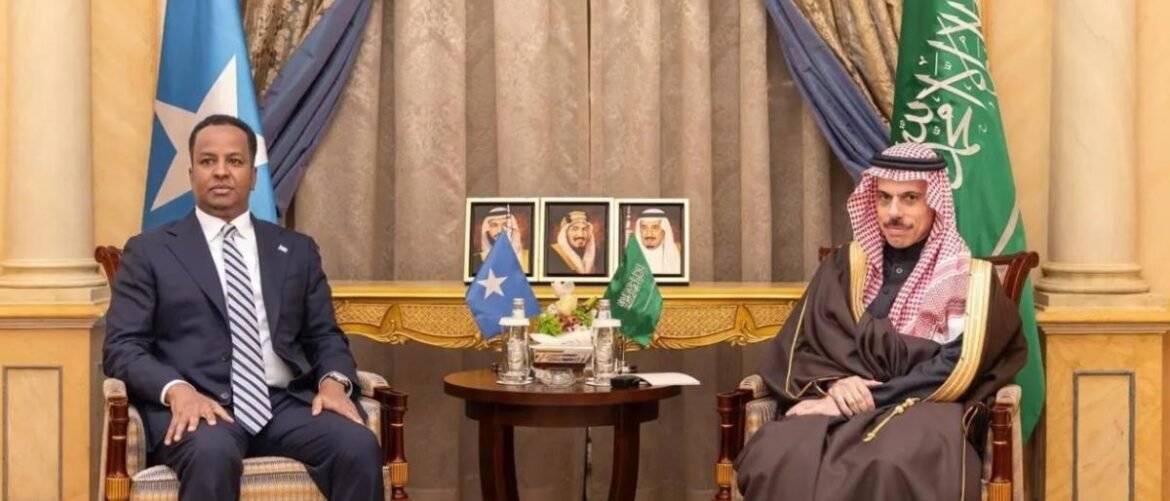 Two men in formal attire sit across from each other in a ceremonial room, Somali and Saudi flags between them on a round table with water bottles and framed portraits in the background.