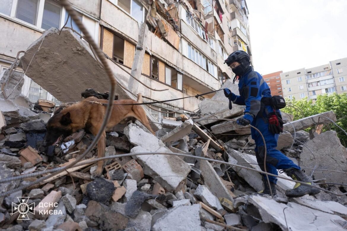 Rescue worker in blue protective gear and helmet on rubble, guiding a dog amid a collapsed building with apartment blocks in the background.