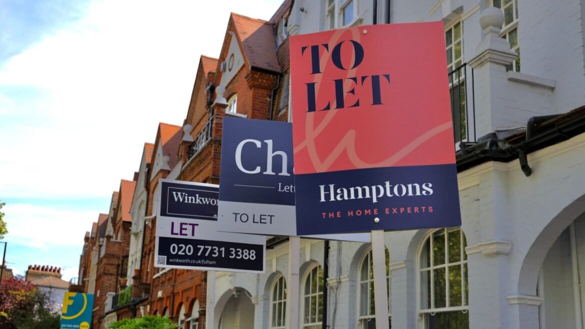 Large pink and navy 'TO LET' real estate sign (Hamptons) in front of a row of red-brick houses on a sunny street.