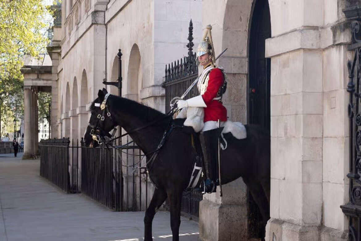 Mounted royal guard in a red coat and ornate helmet on a black horse beside a stone archway.