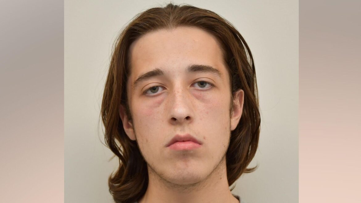 Close-up portrait of a young man with shoulder-length brown hair, neutral expression, light skin, faint facial stubble and flaky acne.