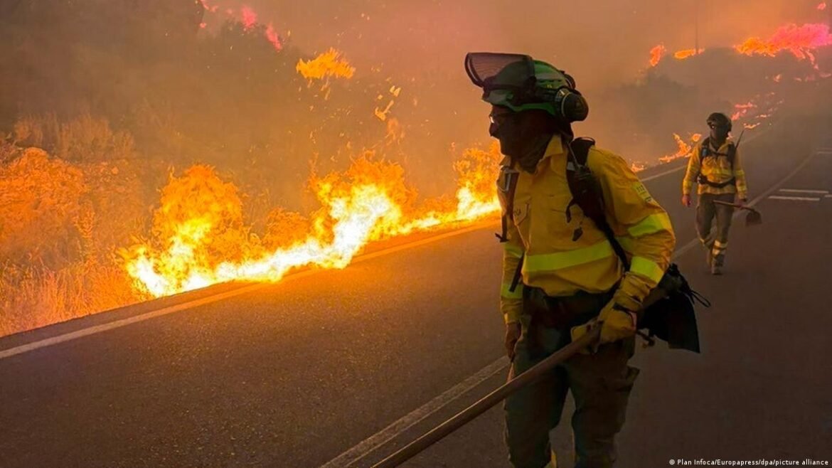 Firefighters in yellow gear battle a roadside wildfire along a highway shoulder at dusk.