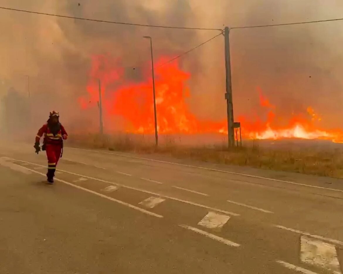 Firefighter in full turnout gear walking along a road as a large brush fire burns nearby with thick smoke filling the air.