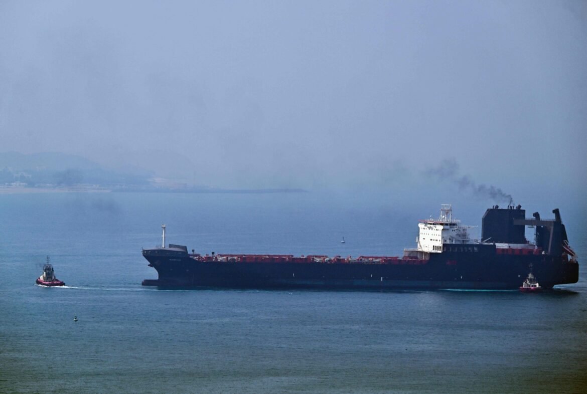 A large dark blue bulk carrier on calm water, flanked by two red tugboats on either side with distant shoreline in the background and smoke rising from the ship's stack.