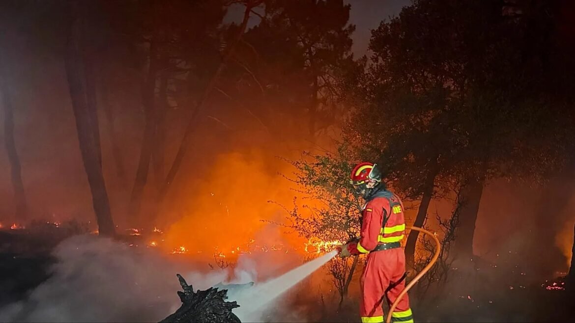 Firefighter in red gear spraying water at a nighttime forest fire, flames and smoke surrounding trees.
