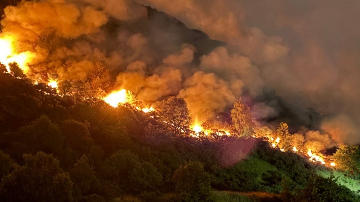 Nighttime wildfire burning up a forested hillside with bright flames and heavy smoke.