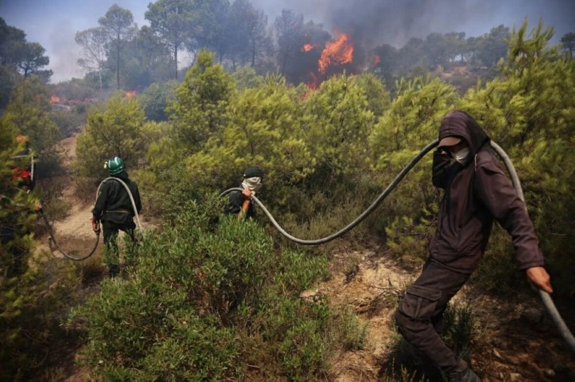 Firefighters in protective gear pull a hose through smoke as a wildfire burns a hillside behind them.
