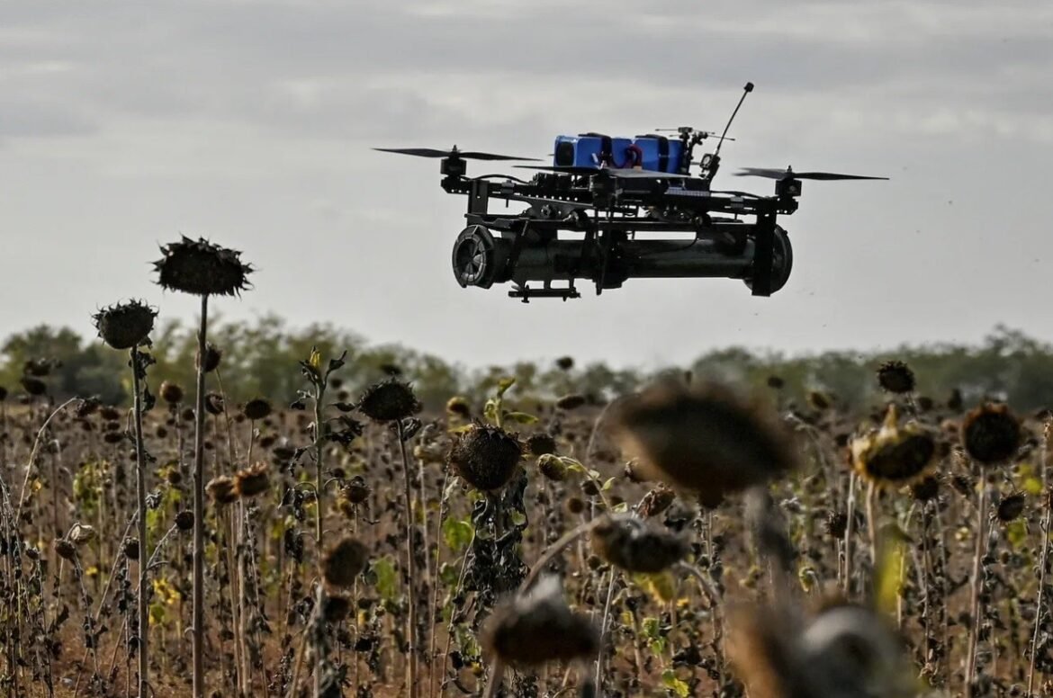 Agricultural drone flying over a field of dried sunflowers in a rural area.