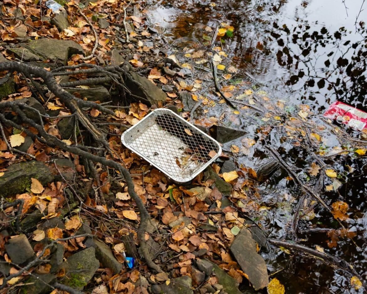 Discarded white plastic mesh basket on a leaf-covered, rocky riverside with tangled roots and dark, reflective water nearby.
