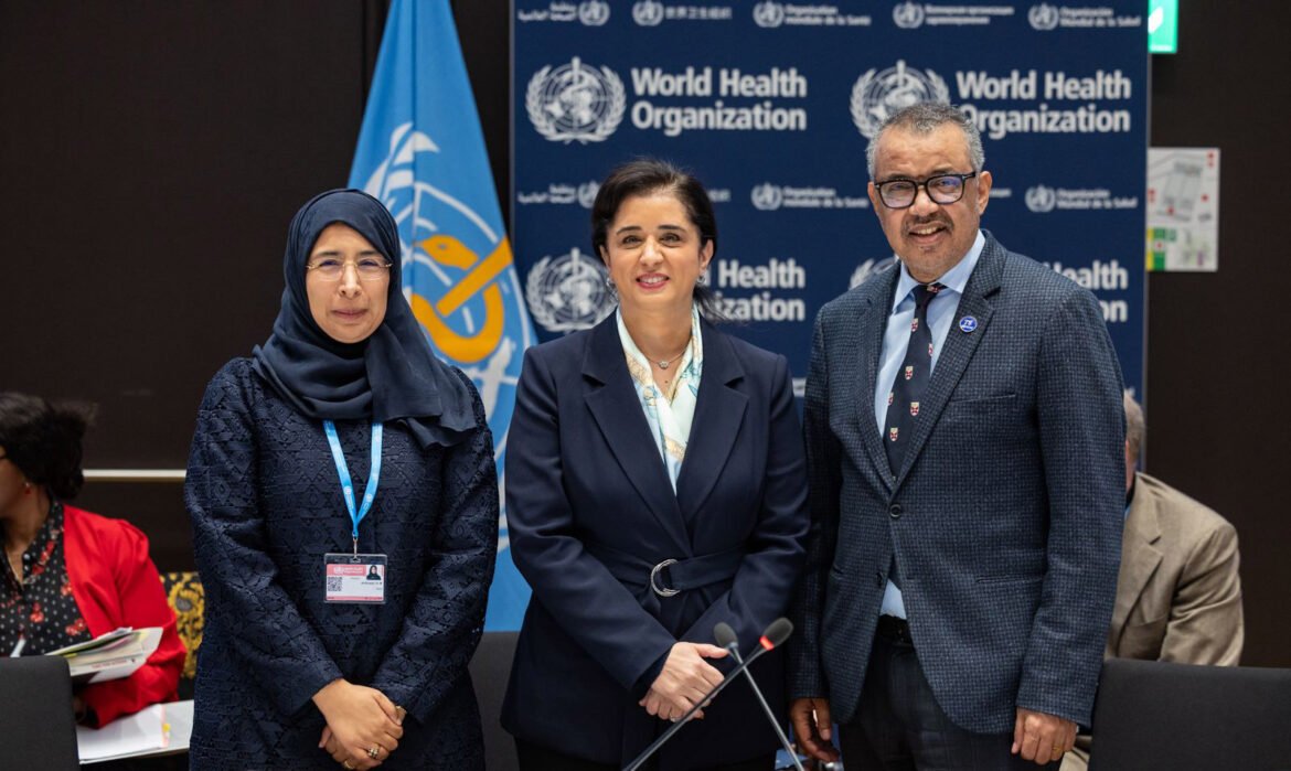 Three professionals pose for a photo at a World Health Organization event, with a blue WH O backdrop and flag behind them.