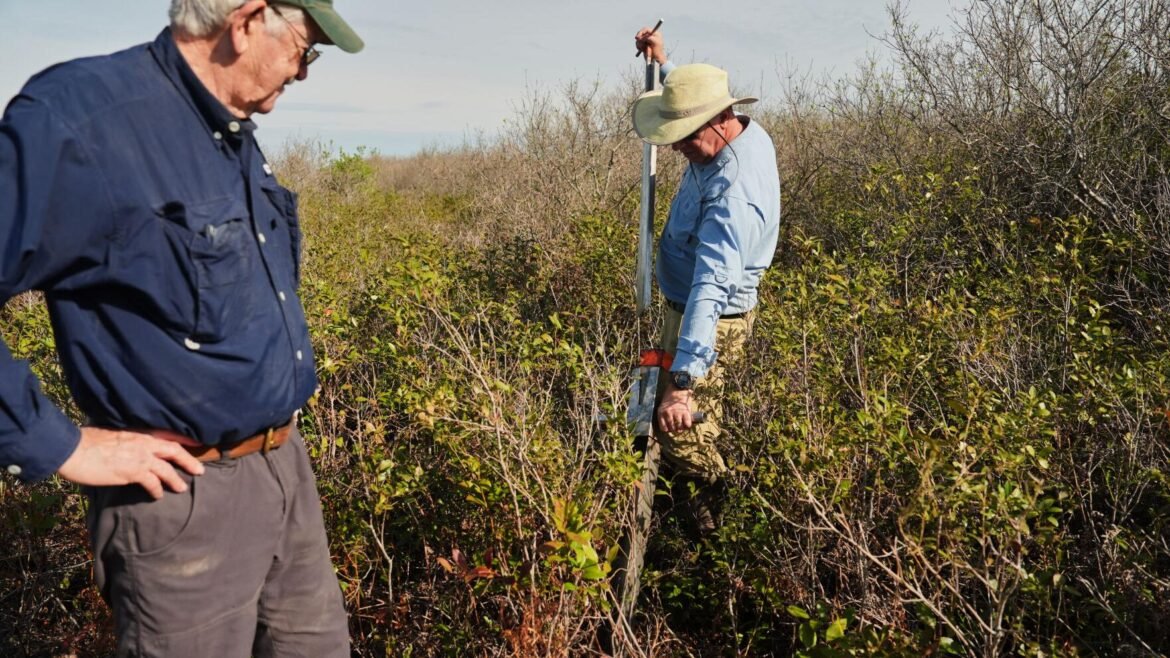 Two men in work clothes stand in dense brush; one holds a tall metal rod upright while the other watches from the left.
