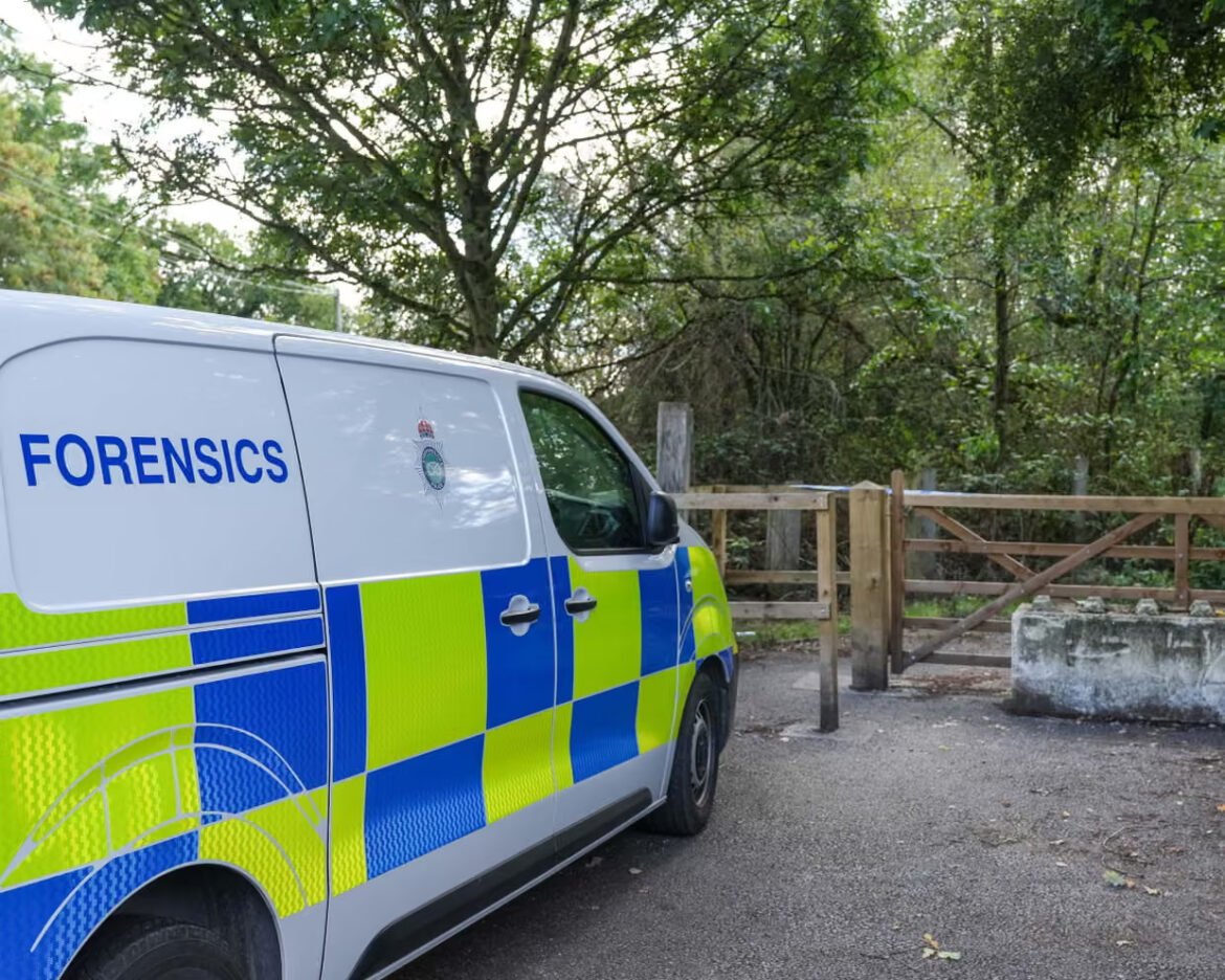White forensic van with blue and yellow checkered pattern parked beside a wooden gate in a wooded area.