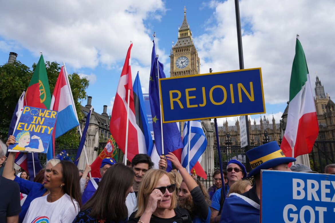 Crowd of protesters holding a blue 'REJOIN' sign and various national flags, with Big Ben visible in the background.