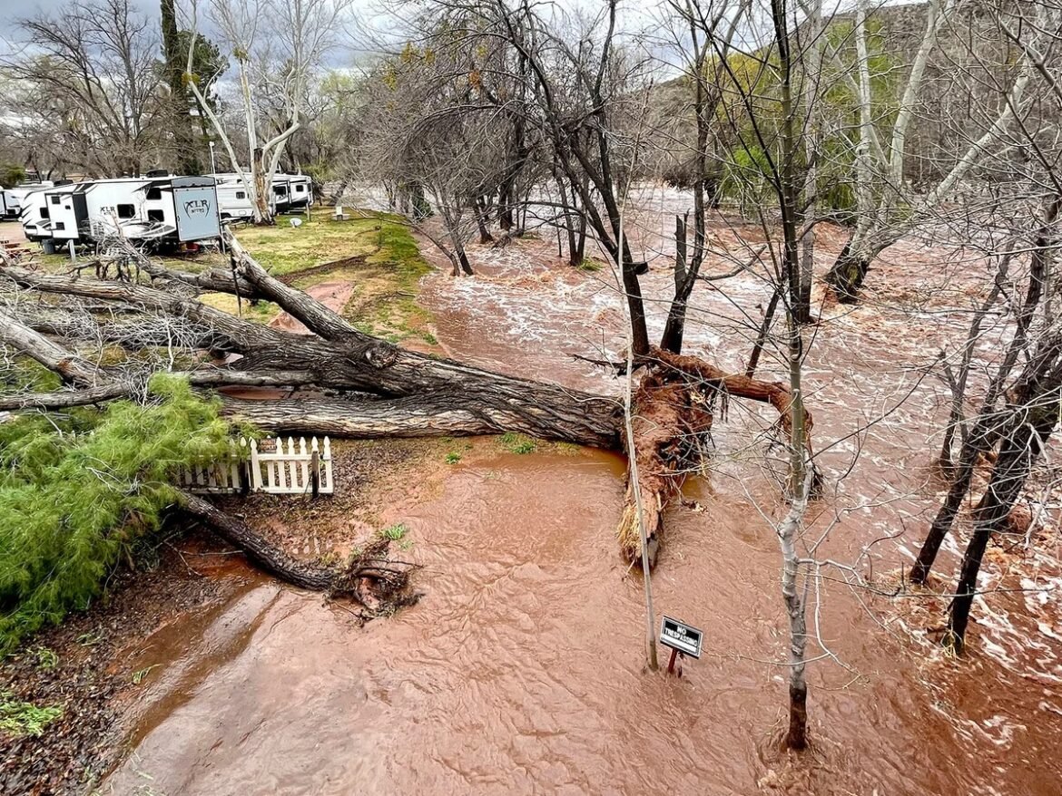 Flooded RV park with a toppled tree crushing a fence and water covering yards and driveways; a 'No Trespassing' sign is submerged.